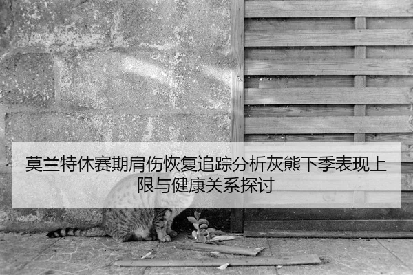 莫兰特休赛期肩伤恢复追踪分析灰熊下季表现上限与健康关系探讨