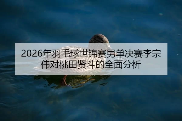 nian-yu-mao-qiu-shi-jin-sai-nan-dan-jue-sai-li-zong-wei-dui-tao-tian-xian-dou-de-quan-mian-fen-xi-1-580.jpg