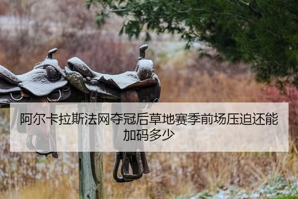 a-er-ka-la-si-fa-wang-duo-guan-hou-cao-di-sai-ji-qian-chang-ya-po-hai-neng-jia-ma-duo-shao-2-161.jpg