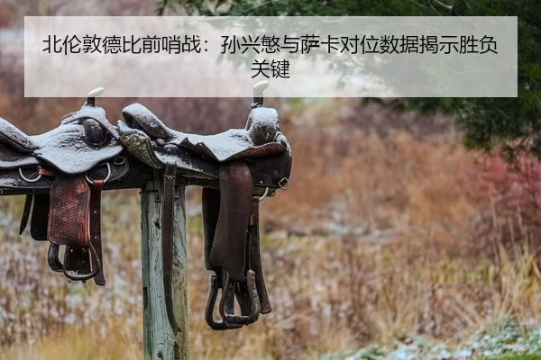bei-lun-dun-de-bi-qian-shao-zhan-sun-xing-min-yu-sa-ka-dui-wei-shu-ju-jie-shi-sheng-fu-guan-jian-2-412.jpg